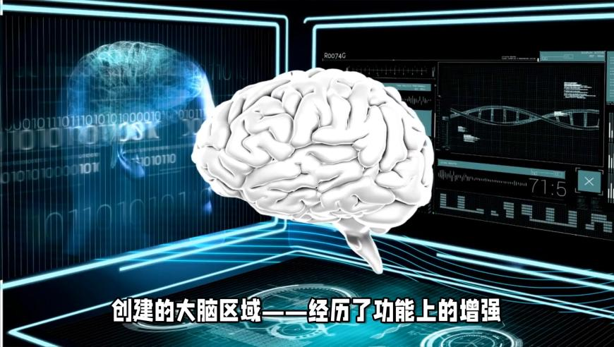 澳门直播现场开奖直播官网视频,哪吒2票房136亿,国产化作答解释落实_iPadV6.7