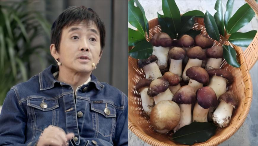 60岁老人出现白肺鱼肝油竟是元凶,马会传真13262cc,决策资料解释落实_标清版V7.23
