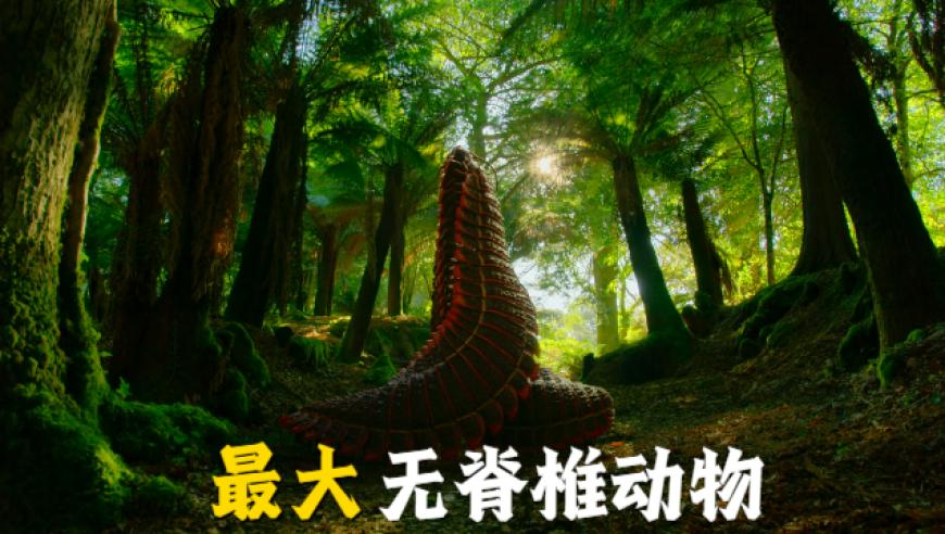 香港100最准的一肖一,丹麦军方巨资买75万双毛袜应对威胁,最佳精选解释落实_铂金版V5.75