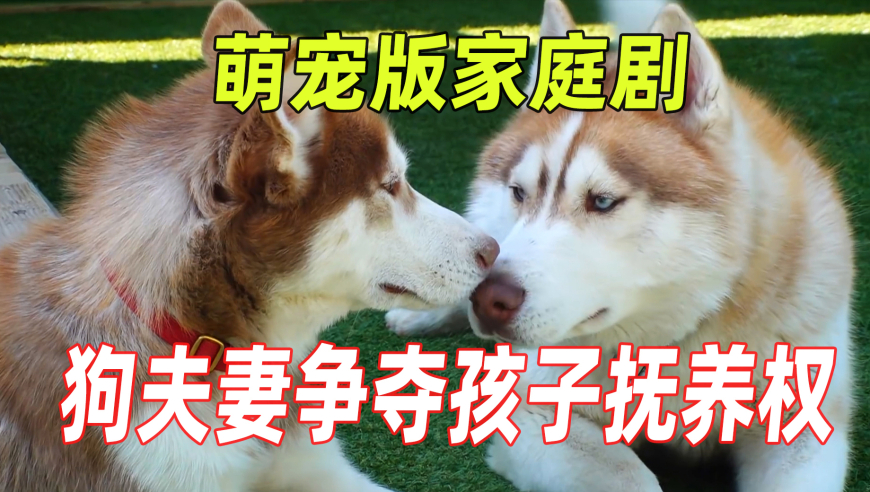 AL JDG赛后数据,新澳门六开奖结果2025开奖记录表下载安装,展开解析落实_云端版V13.85